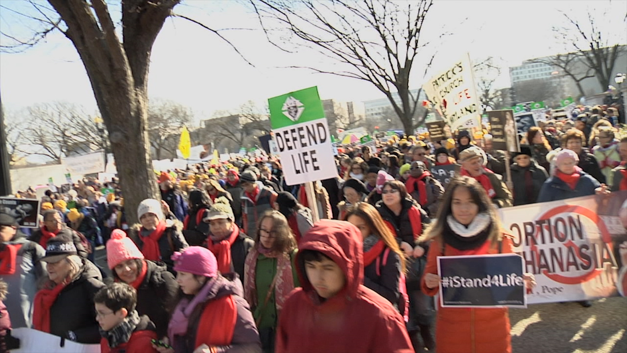 Diocese of Brooklyn March for Life 2015