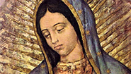 GUADALUPE: THE MIRACLE AND MESSAGE