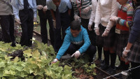 Our Lady of Fatima School Plants Seeds of Knowledge