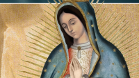 60+ Second Review – “Guadalupe: The Miracle and The Message”
