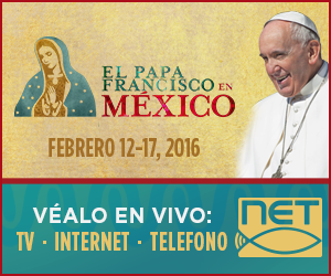 Pope_In_Mexico_BANNER_SPANISH_300x250_Final