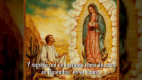 Meaning Behind Our Lady of Guadalupe