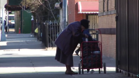 Food Crisis Among Seniors In Bed-Stuy