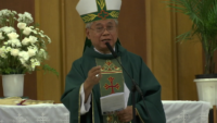 “Cardinal of Peace” Speaks on Militant Islam