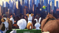 60 Second Review – “The Secret Life of Pets”
