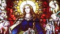 Stained Glass Windows: The Cathedral Basilica of St. James