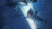 60 Second Review – “47 Meters Down”