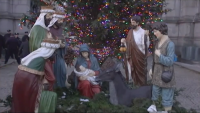 Brooklyn Diocese Lights Grand Army Plaza Christmas Tree