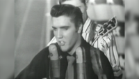 The Final Hours of Elvis