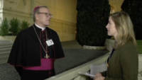 Bishop Barron Reflects On His First Synod