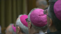 Cardinals Address Accountability at Vatican Abuse Summit