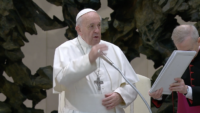 Pope at General Audience Prays for Victims of Coronavirus, “A Cruel Illness”
