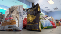 Drive-Thru Pet Food Bank for Families Facing Hardship During the Pandemic