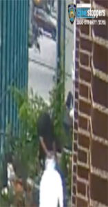 vandal