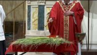 Palms and Parishioners Back in Church for Palm Sunday in the Diocese of Brooklyn