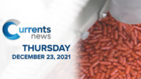 Catholic News Headlines for Thursday, 12/23/21