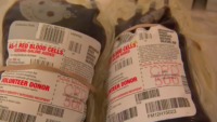 U.S. Faces Critical Blood Shortage as Red Cross Pleads for Donations Amid Pandemic