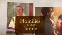 Homilies in Your Home: Giovanni 2:1-11