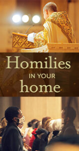 Homilies-in-Your-Home_Vertical-graphic-Rev