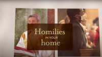 Homilies in Your Home: Luke 6:39-45