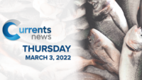 Catholic News Headlines for Thursday, 3/3/22