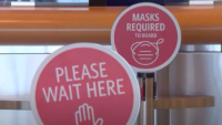 Flying Mask Free: MTA Keeps Mandate While NYC Mayor Keeps Options Open