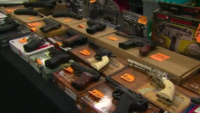 New Gun Control Plan in the Senate May Face a Tough Road Ahead
