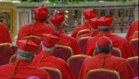 Consistory Keeps Expanding Variety in College of Cardinals