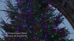 Grand Army Plaza Music Video O Christmas Tree