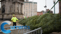 Diocese of Brooklyn Christmas Tree Arrives in Grand Army Plaza