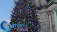 Diocese of Brooklyn’s Christmas Tree Lights Up The Sky at Grand Army Plaza