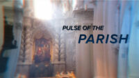Tonight On Currents News: Pulse of The Parish, Nick Sisto