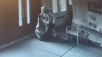 Police Search for Suspect in Our Lady of Fatima Burglary