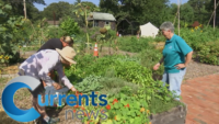 Green Thumbs for a Good Cause: Volunteers Learn to Garden and Give Back to Community