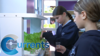 Growing Faith: Students Use Hydroponics Lab to Learn the Gift of Life