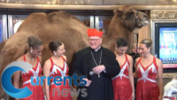 Kicking Off the Christmas Season: Cardinal Dolan Blesses Animals Used in Radio City Spectacular