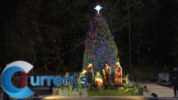Symbol of the Christmas Season: Grand Army Plaza Illuminated With Christmas Tree