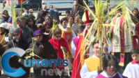 Palm Sunday Preparations Underway in Diocese