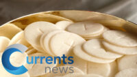 Vatican Investigating Possible Eucharistic Miracles at Church Where Father McGivney Once Served