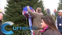 White House Chooses Christmas Tree from North Carolina Farm Recovering from Hurricane Damage