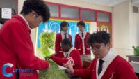 La Salle Academy Hydroponic Lab Offers Lesson in Service to Community