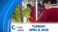 Catholic News Headlines for Tuesday 4/8/2025