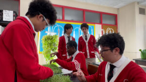 hydroponic