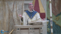 Diocese of Brooklyn Celebrates New Pope Leo XIV at St. James Cathedral
