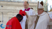 How Cardinals Became Papal Kingmakers