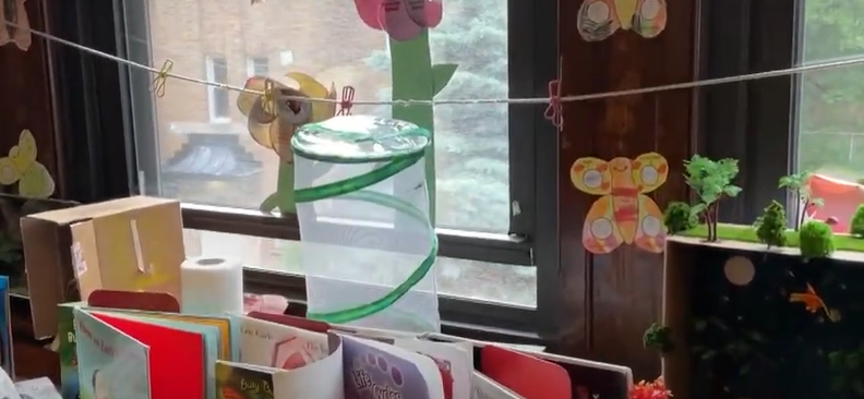 Immaculate Conception Catholic Academy Learns To Care for God’s Creation by Releasing Butterflies