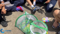 Immaculate Conception Catholic Academy Learns To Care for God’s Creation by Releasing Butterflies