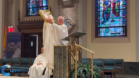 Sacred Heart of Jesus Church in Queens Named Diocesan Shrine of Saint Carlo Acutis