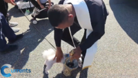 Brooklyn and Queens Parishes Celebrate Feast of St. Francis with Animal Blessings