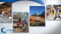 Kids Celebrate Halloween and Family at Catholic Charities Brooklyn and Queens Pumpkin Patch Outing